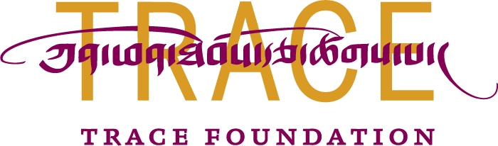 Trace Foundation